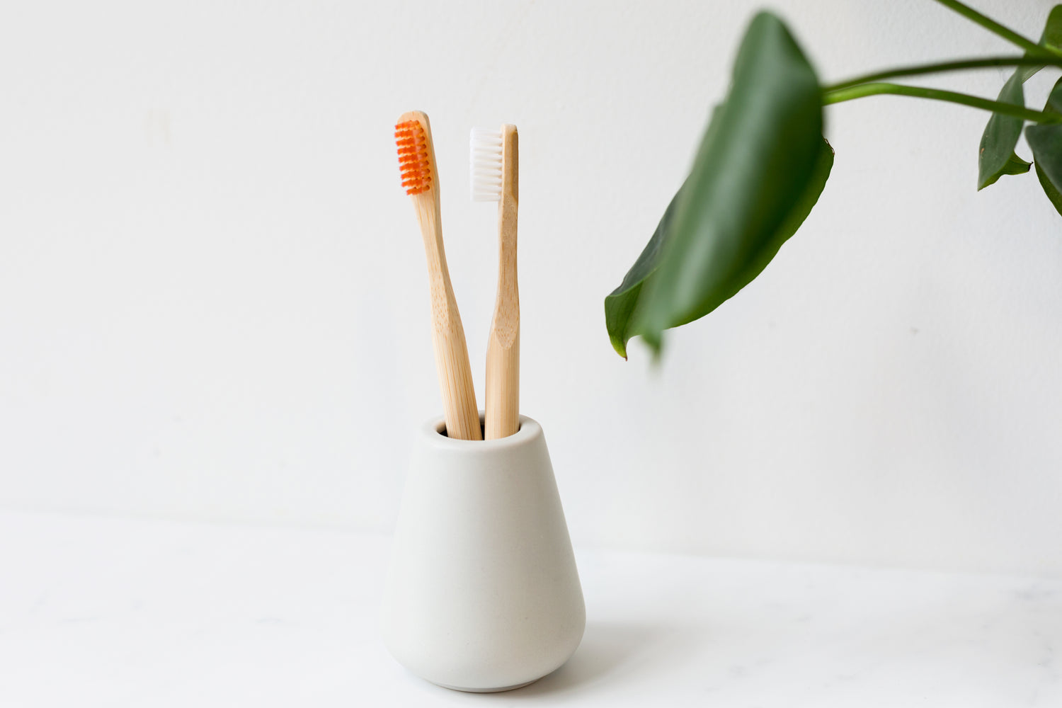 Eco Friendly Toothbrush in a holder - sustainability image