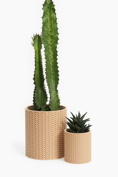 The Basket Weave - Wall Planter - Loffa Design