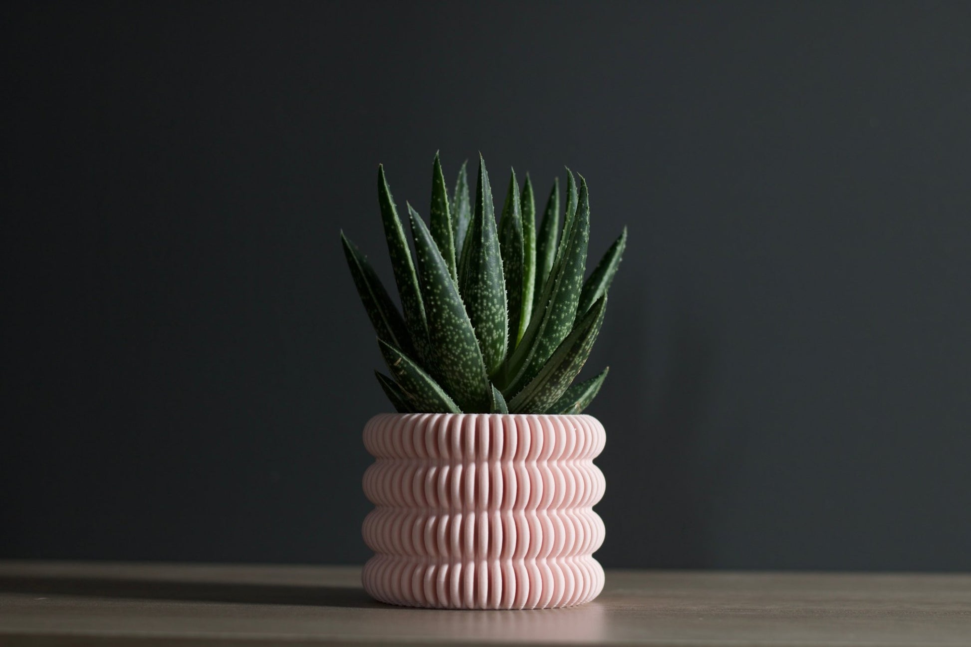 The Clifton - Planter - Loffa Design