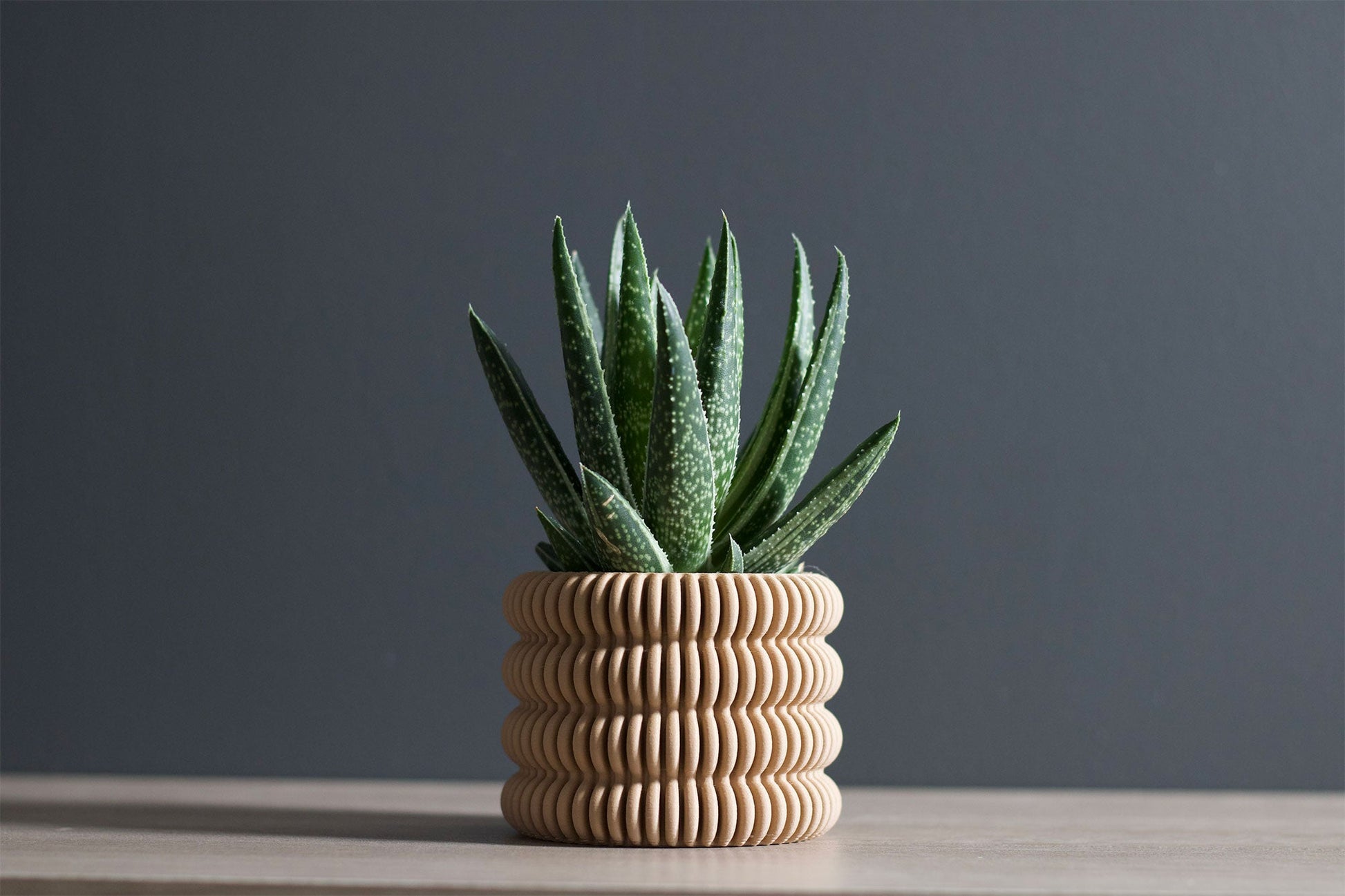 The Clifton - Planter - Loffa Design