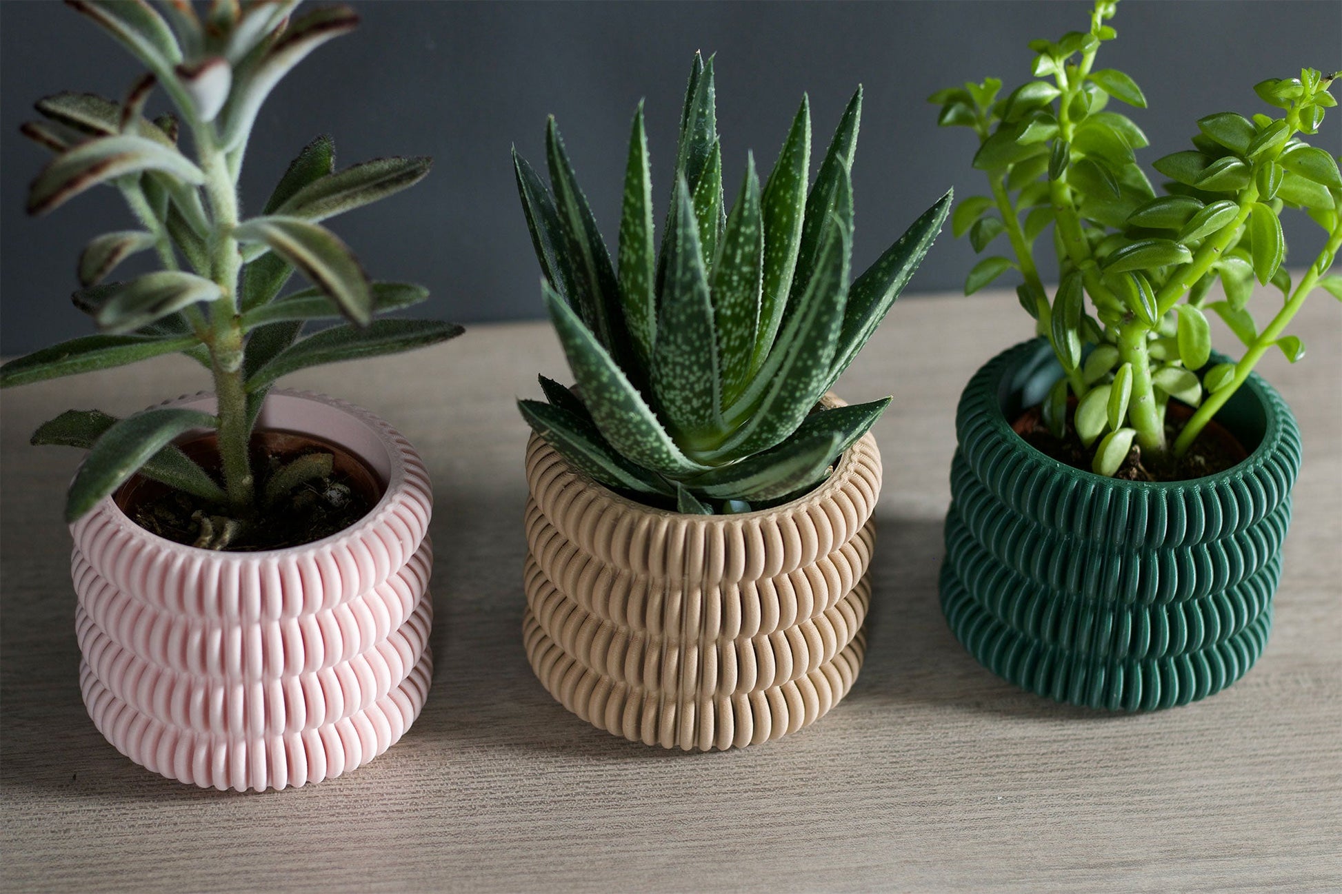 The Clifton - Planter - Loffa Design