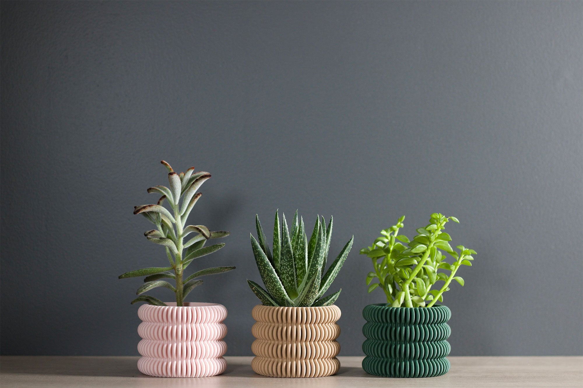 The Clifton - Planter - Loffa Design