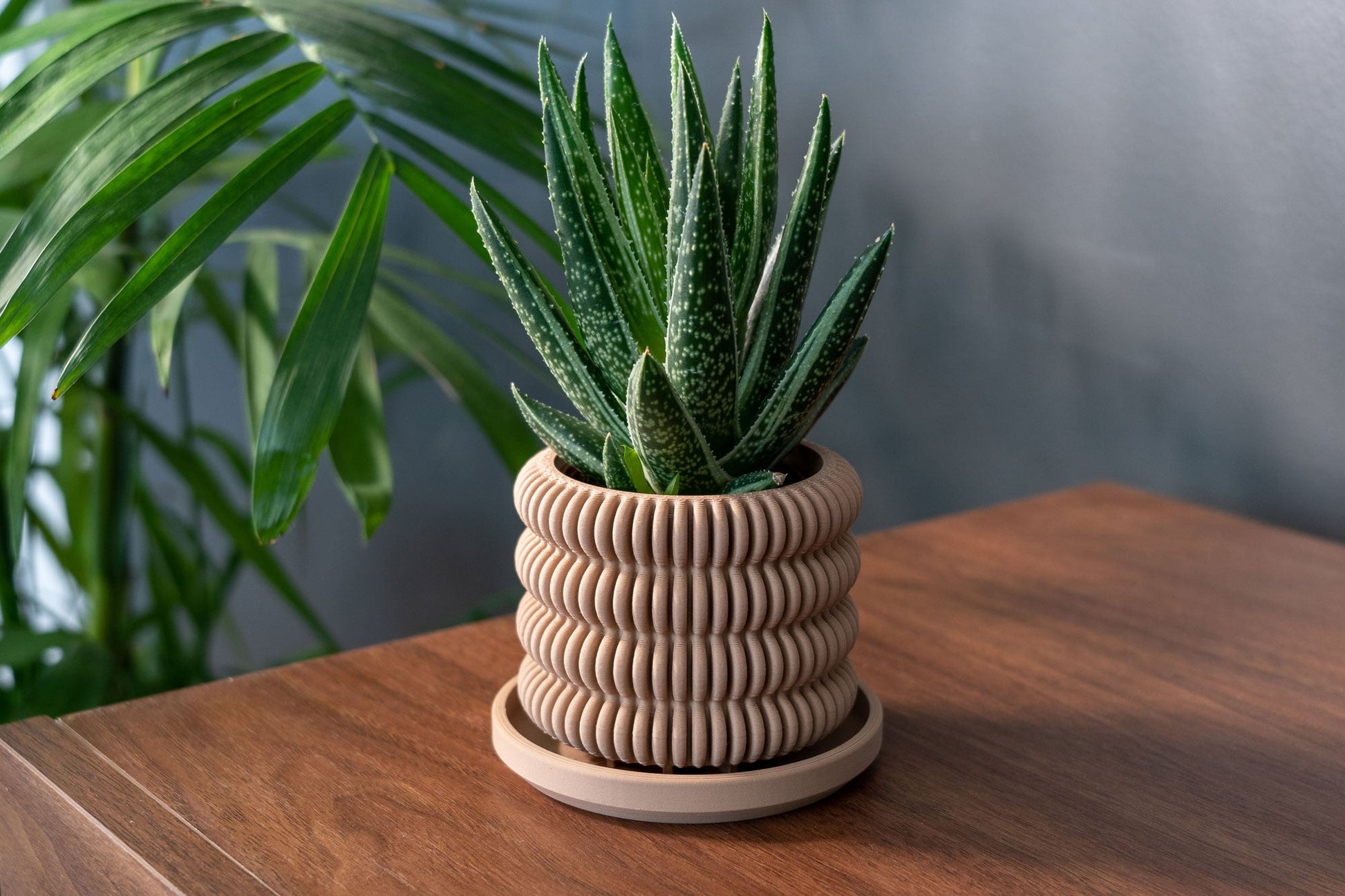 The Clifton - Planter - Loffa Design