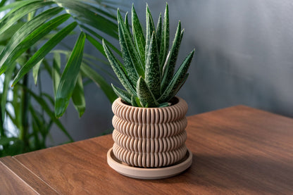 The Clifton - Planter - Loffa Design