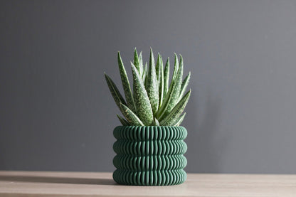 The Clifton - Planter - Loffa Design