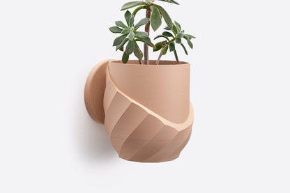 The Cracky - Wall Planter - Loffa Design