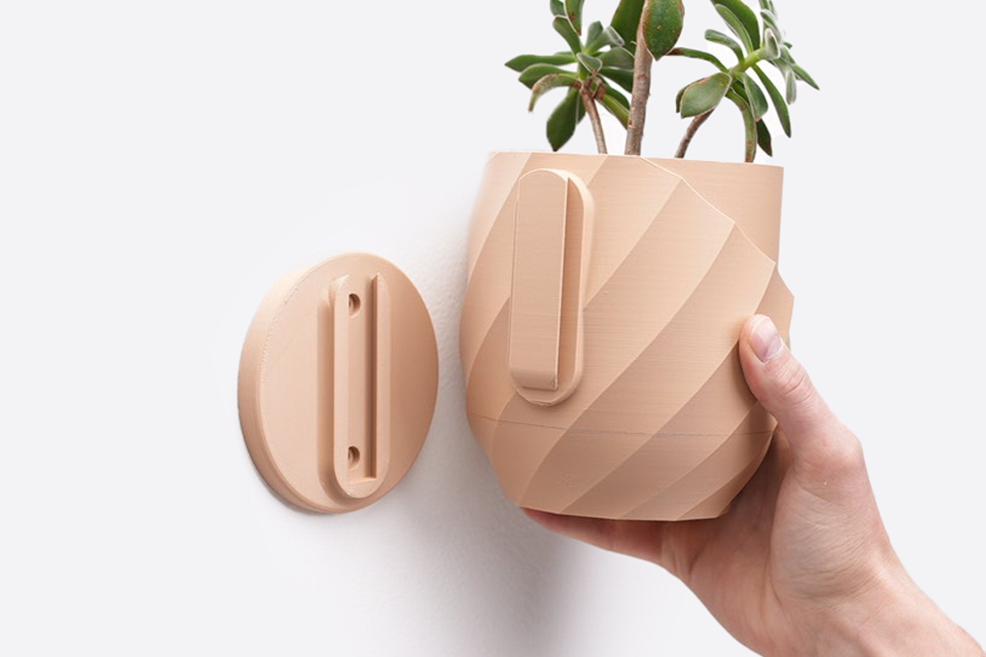 The Cracky - Wall Planter - Loffa Design