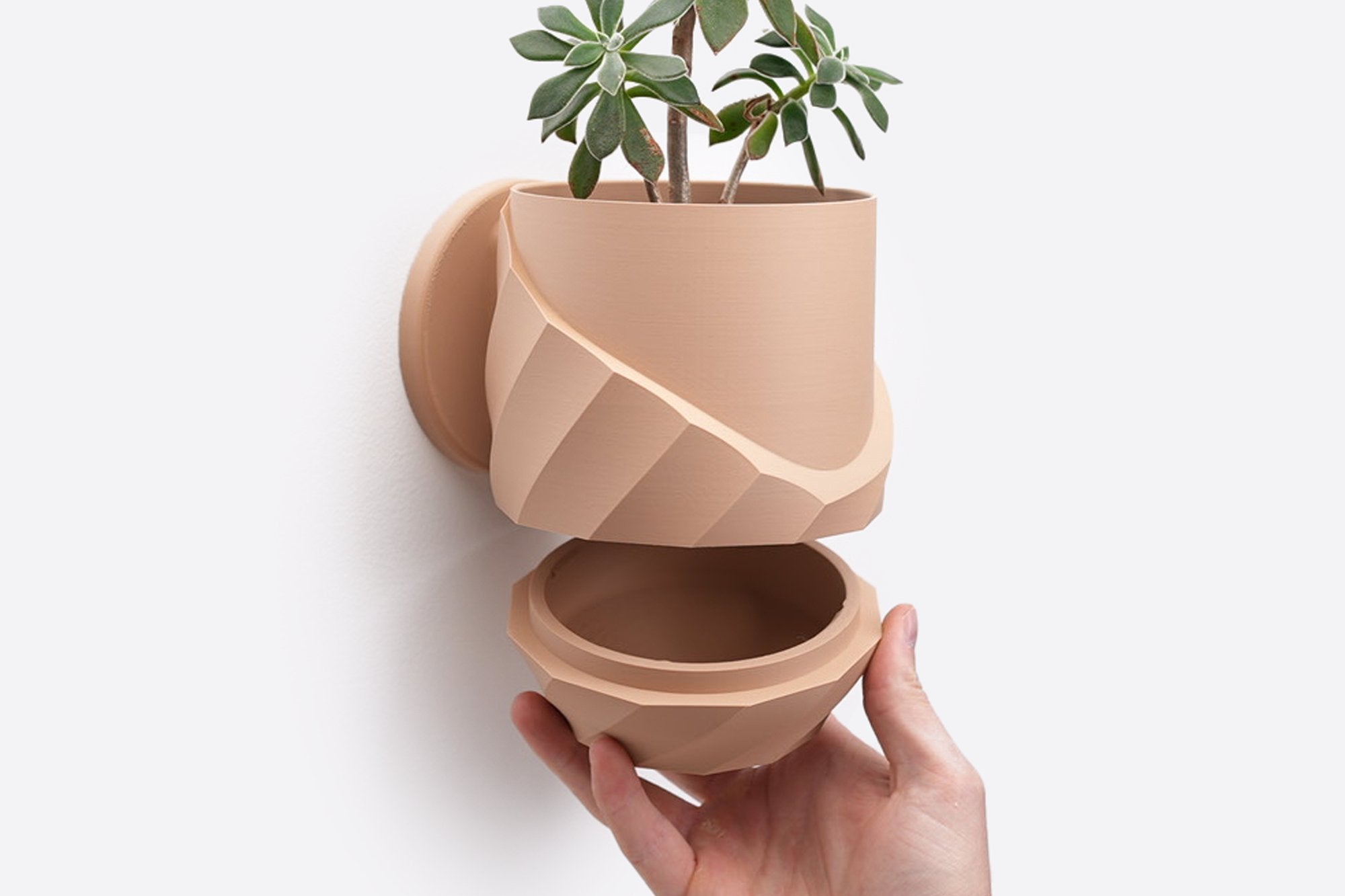 The Cracky - Wall Planter - Loffa Design