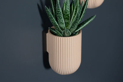 The Ira - Wall Planter - Loffa Design