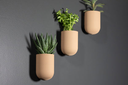 The Ira - Wall Planter - Loffa Design