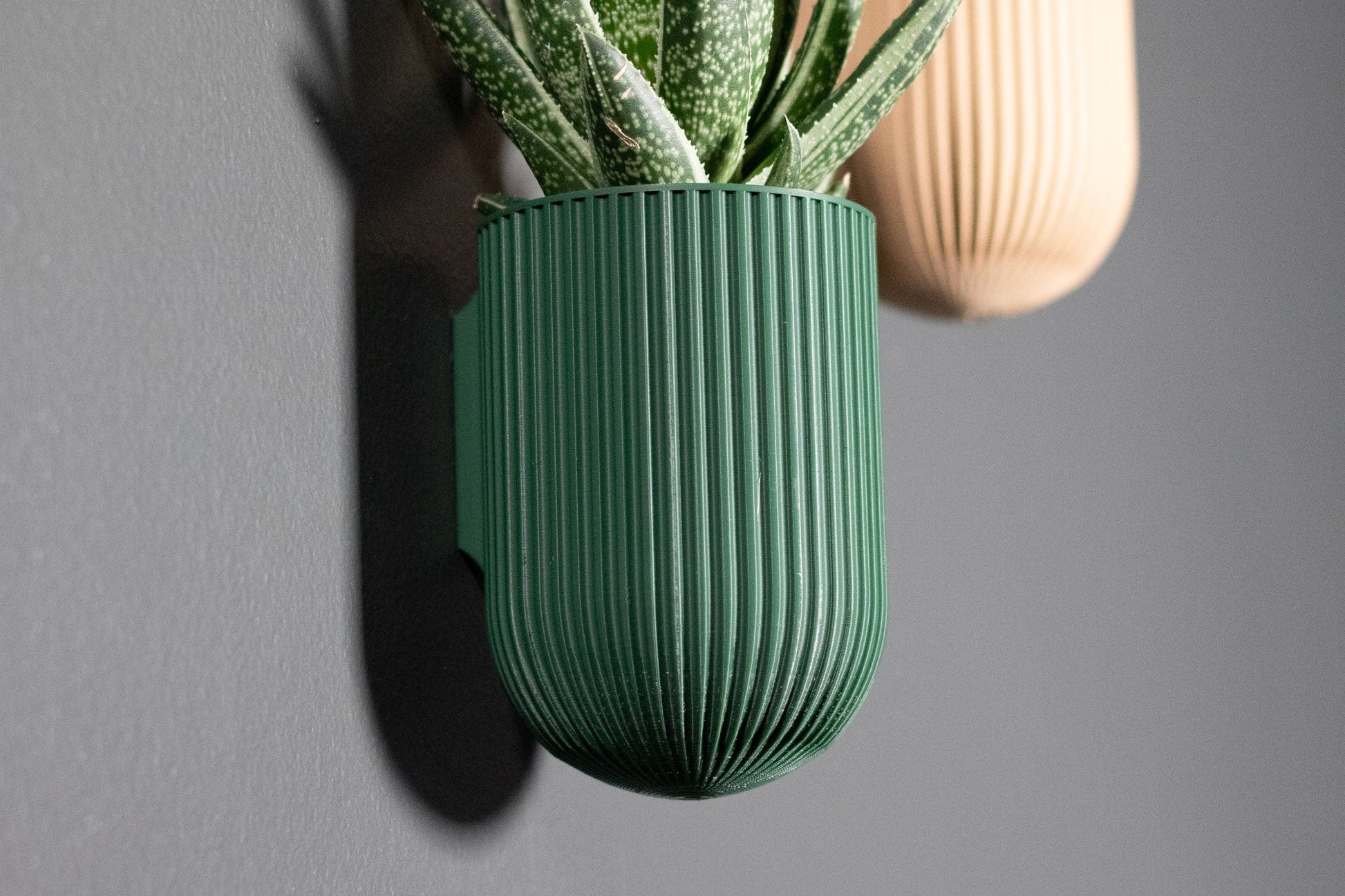 The Ira - Wall Planter - Loffa Design