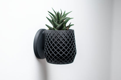 The Lattice Planter - Wall Planter - Loffa Design