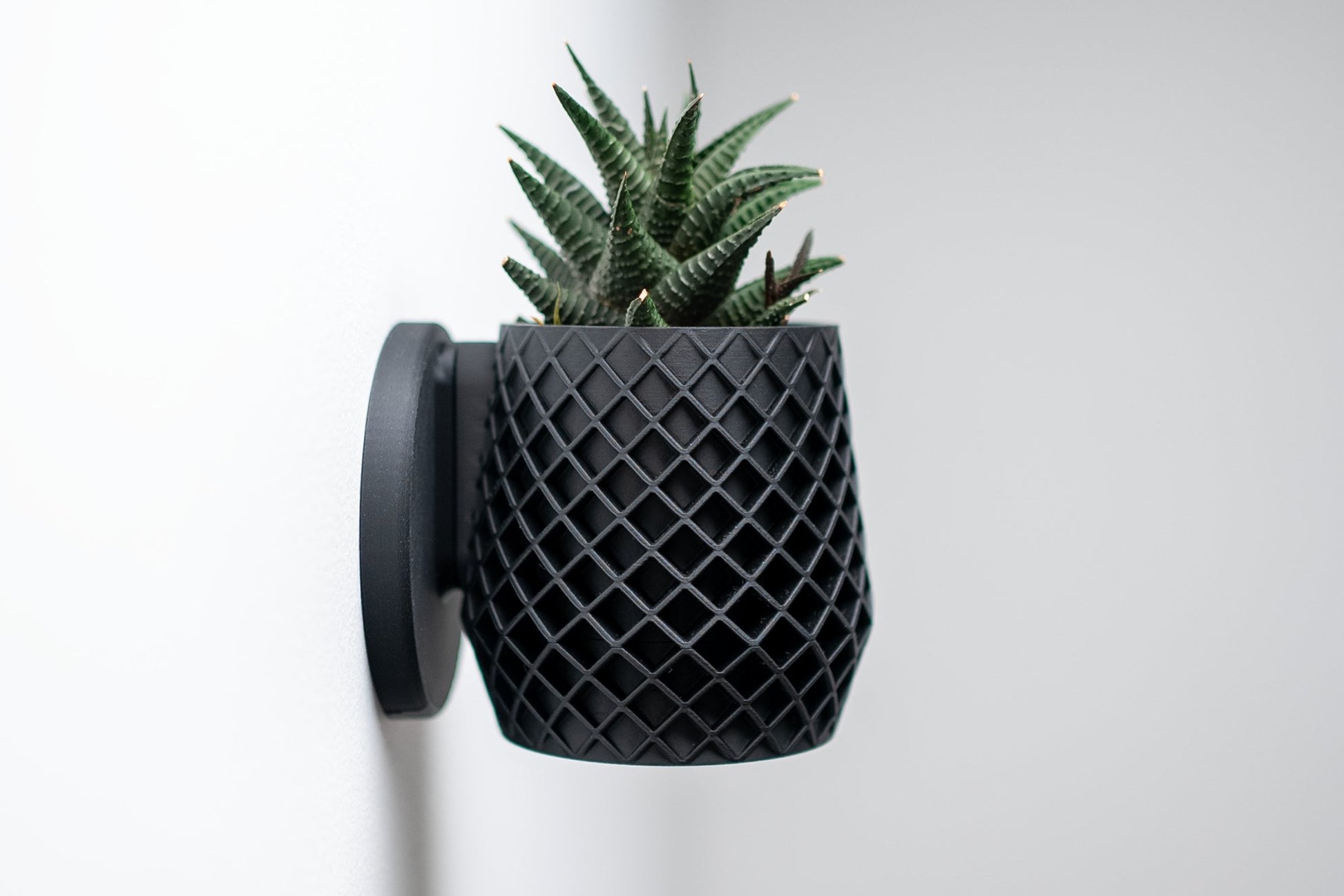 The Lattice Planter - Wall Planter - Loffa Design