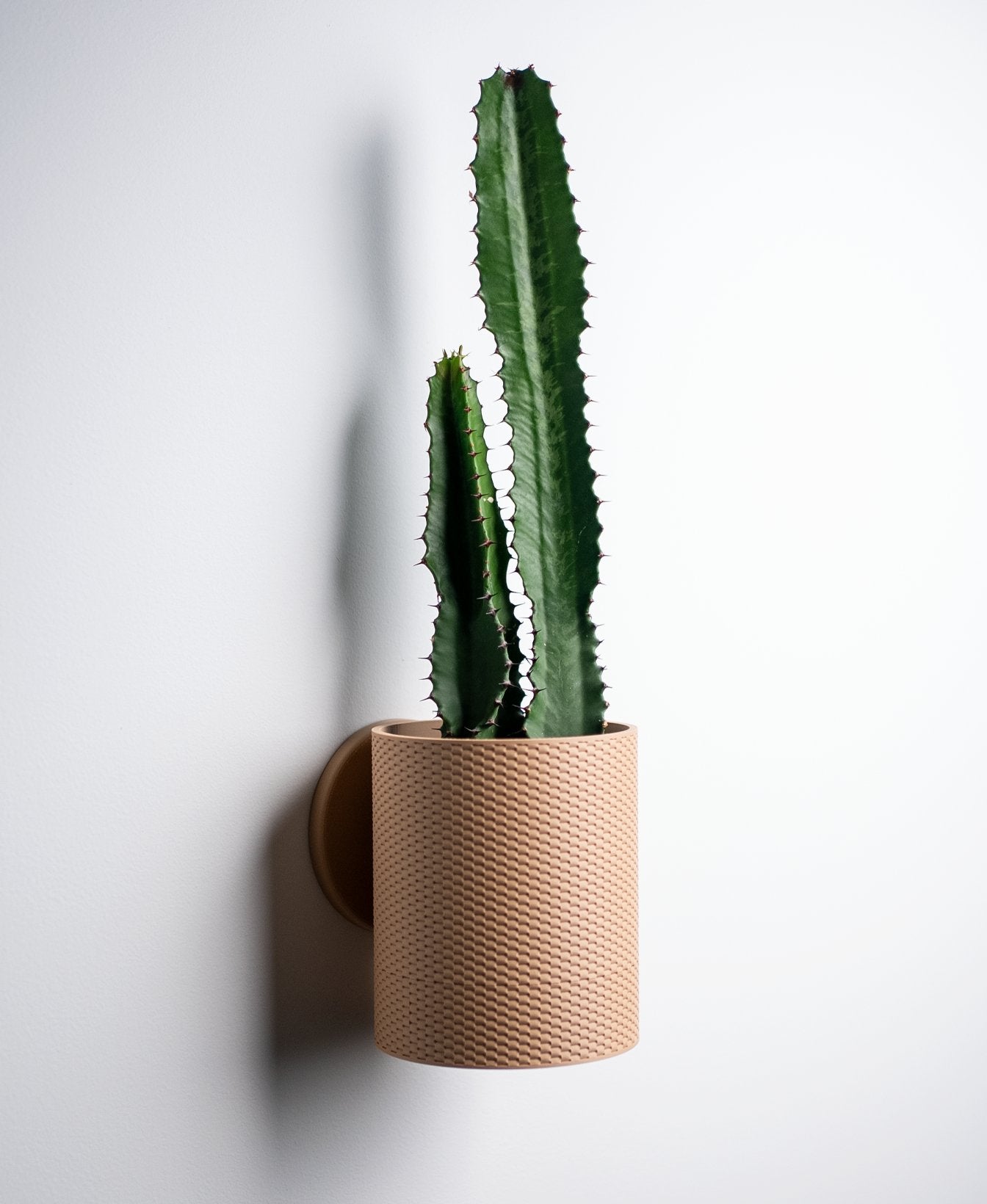 The Straight Weave - Wall Planter - Loffa Design