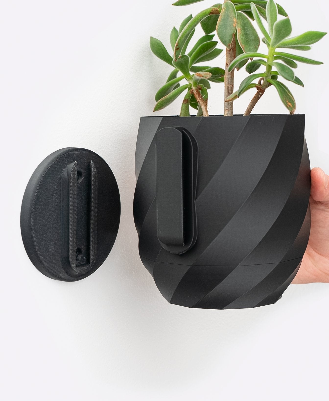 The Twisted - Wall Planter - Loffa Design