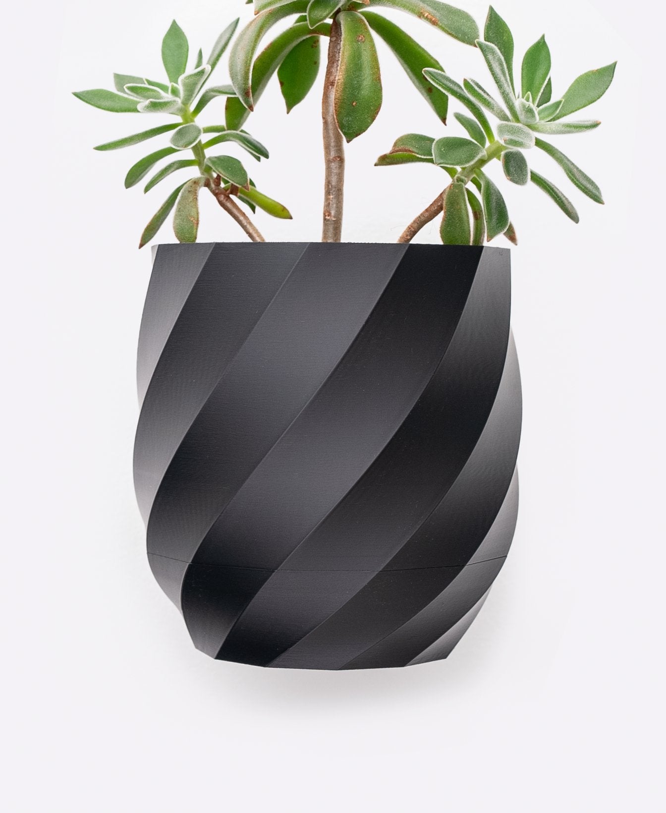 The Twisted - Wall Planter - Loffa Design