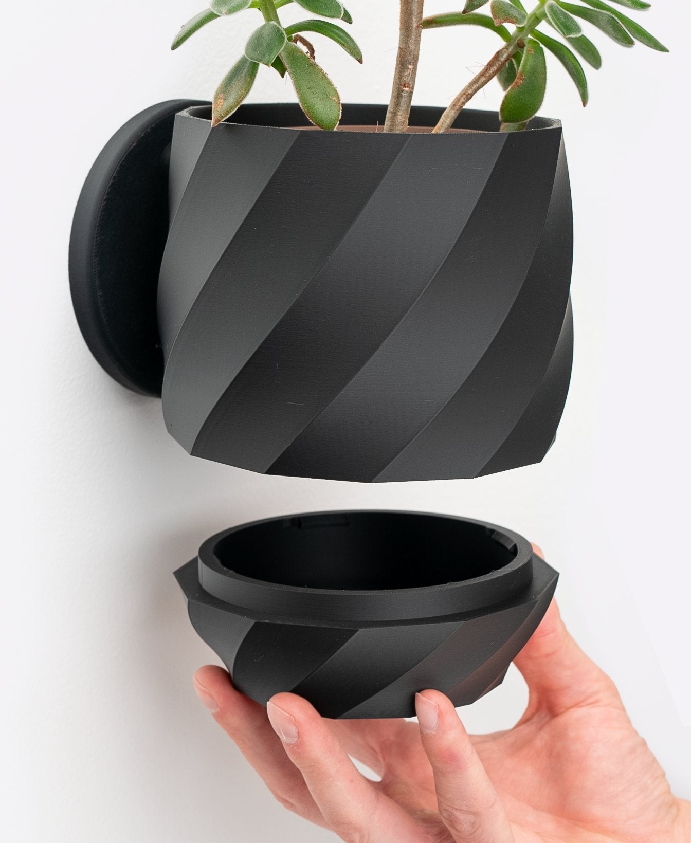 The Twisted - Wall Planter - Loffa Design