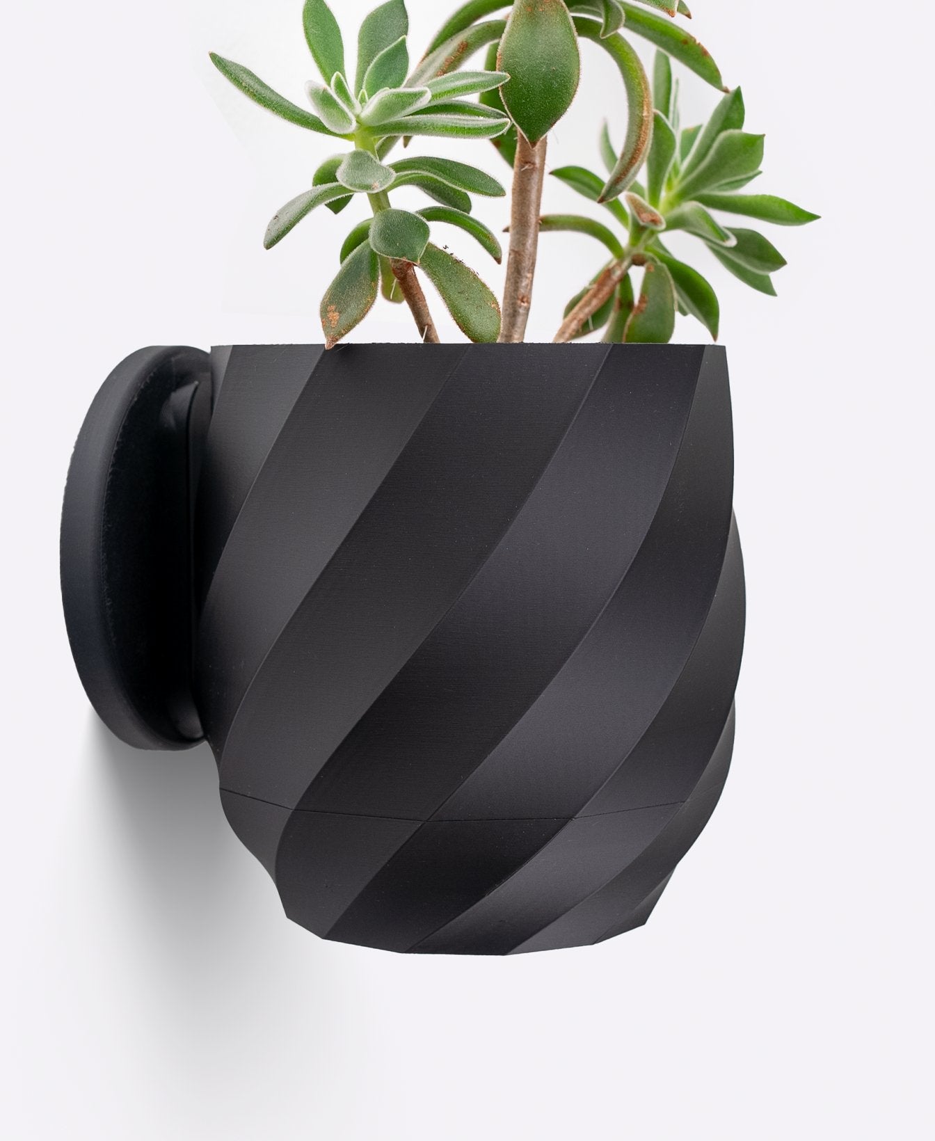 The Twisted - Wall Planter - Loffa Design